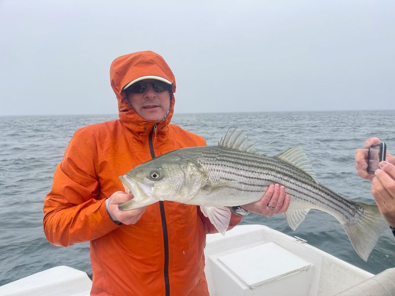 Saltwater boat trip (half day / 4 hours) (Brewster Flats or Monomoy Shoals, Cape Cod)