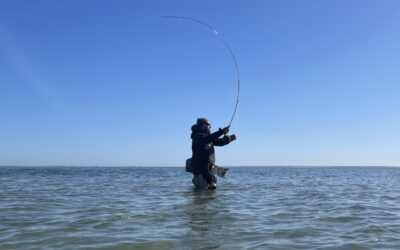 Earning the FFI Casting Instructor Certification