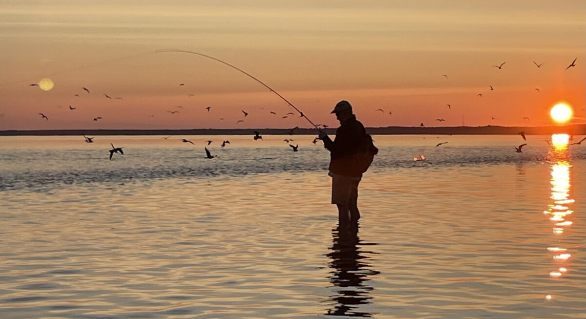 salt-water-fly-fishing-cape-cod-bayside-sunset